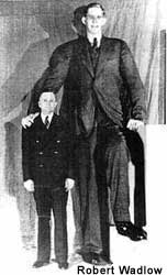 Robert Wadlow