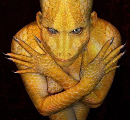 Lacerta